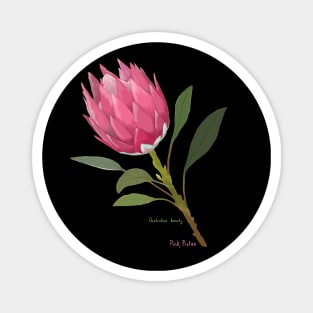 Australian Pink Protea Magnet